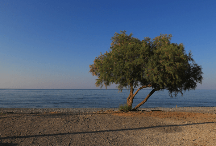 living-the-dream-and-building-wealth-owning-a-home-in-crete