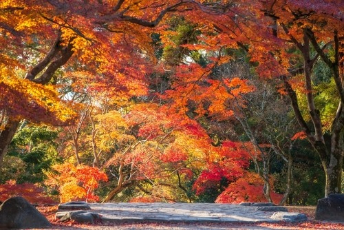 The Best Autumn Destinations in Greece for Slow, Meaningful Travel