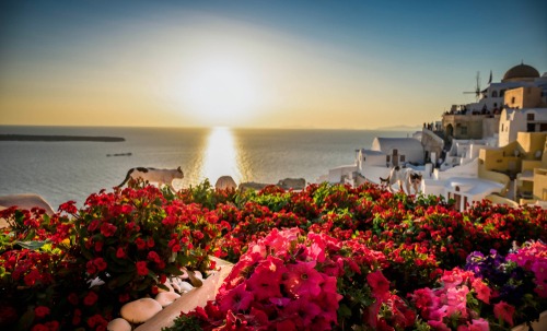 why-investing-in-greek-island-properties-outshines-other-destinations
